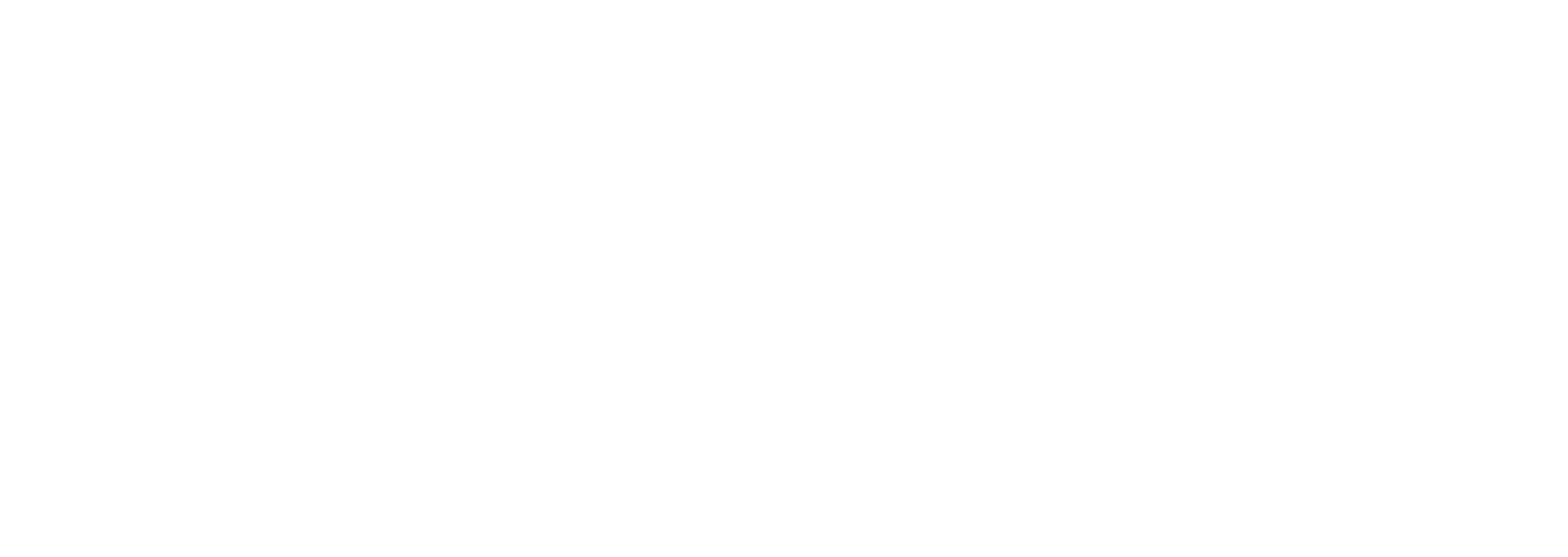 Runey Business Solutions
